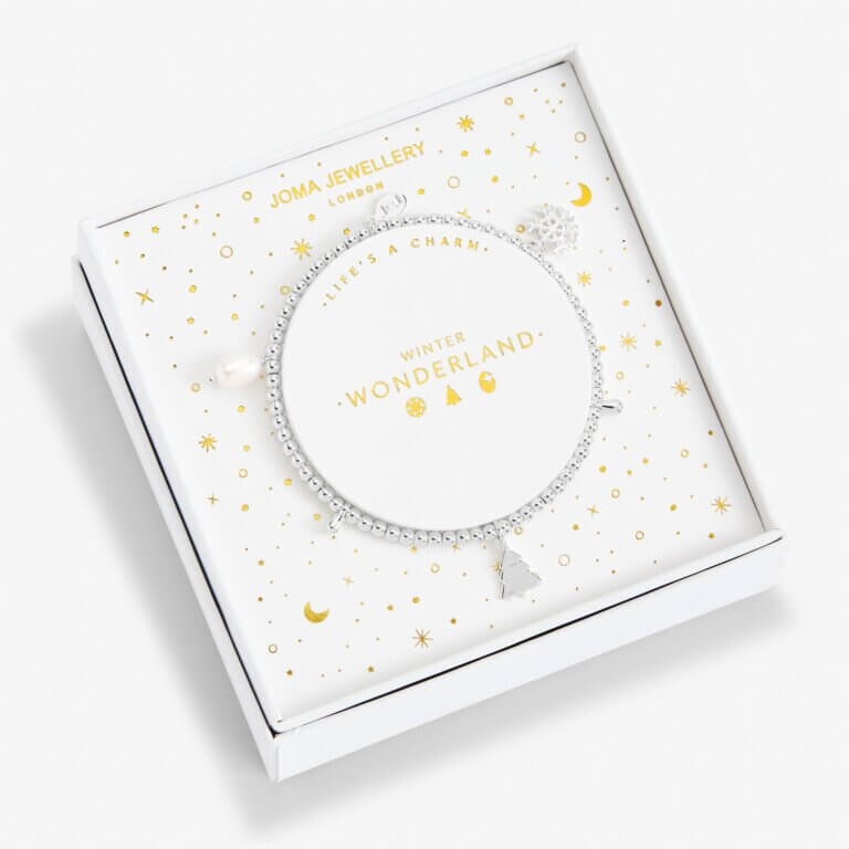 Life's A Charm | Winter Wonderland | Silver | Charm Bracelet | 17.5cm Stretch