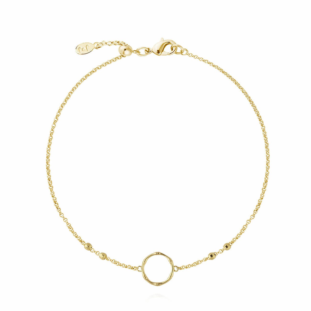 Dainty Bamboo Loop Anklet