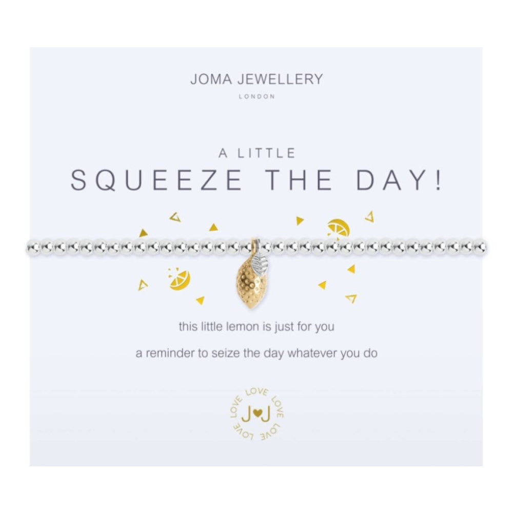 A Little -Squeeze The Day- Silver And Yellow Gold Charm - Silver Bracelet - 17.5cm Stretch