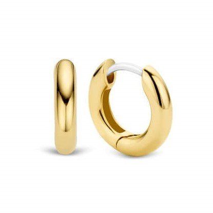 Gold Plated Hoop Earrings