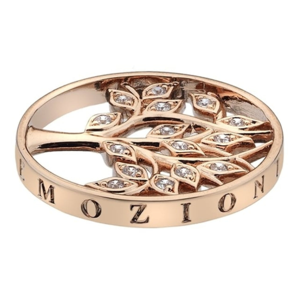 Balance & Harmony Rose Gold Plate Coin - 25mm