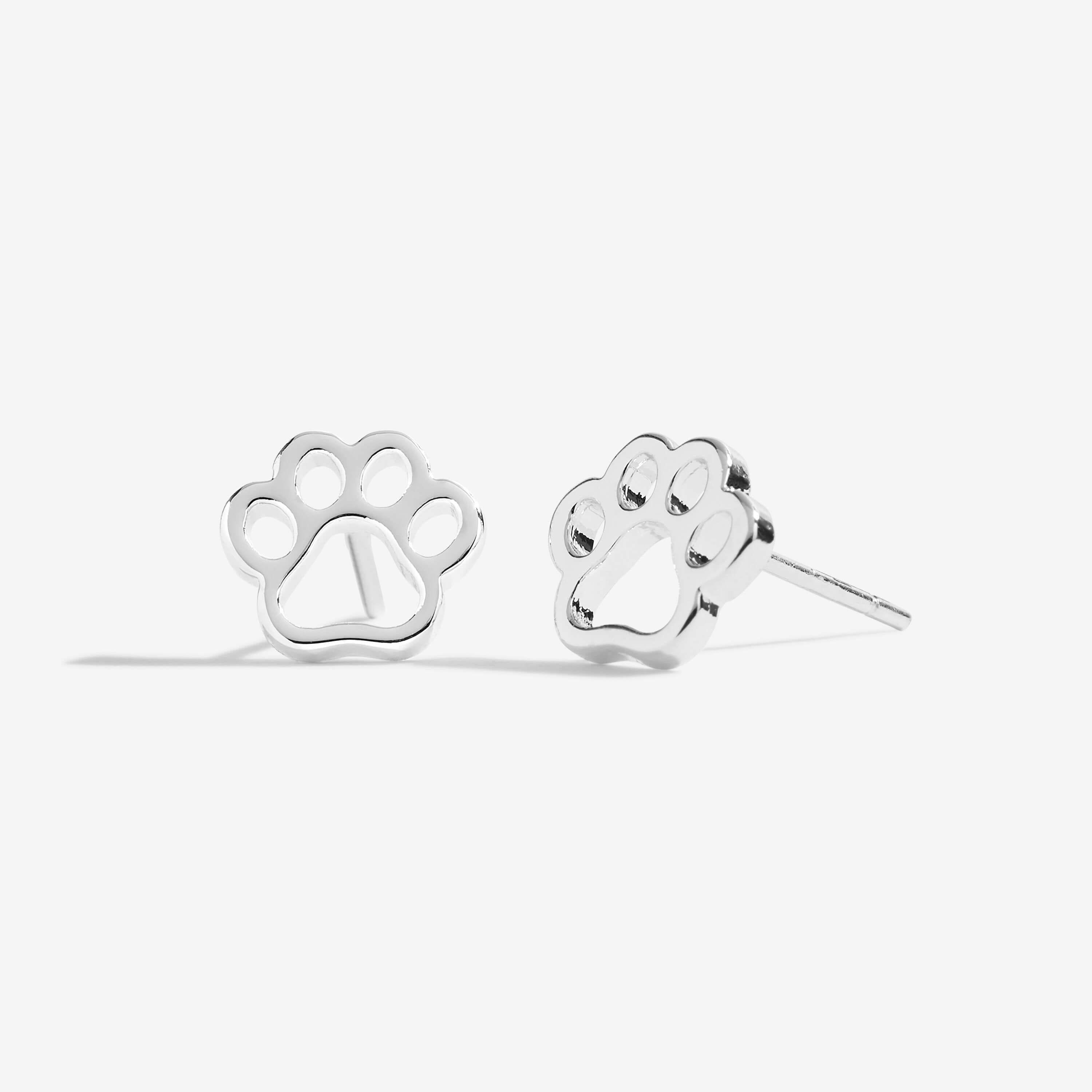 Treasure The Little Things | Love Has Four Paws | Silver | Earring Box