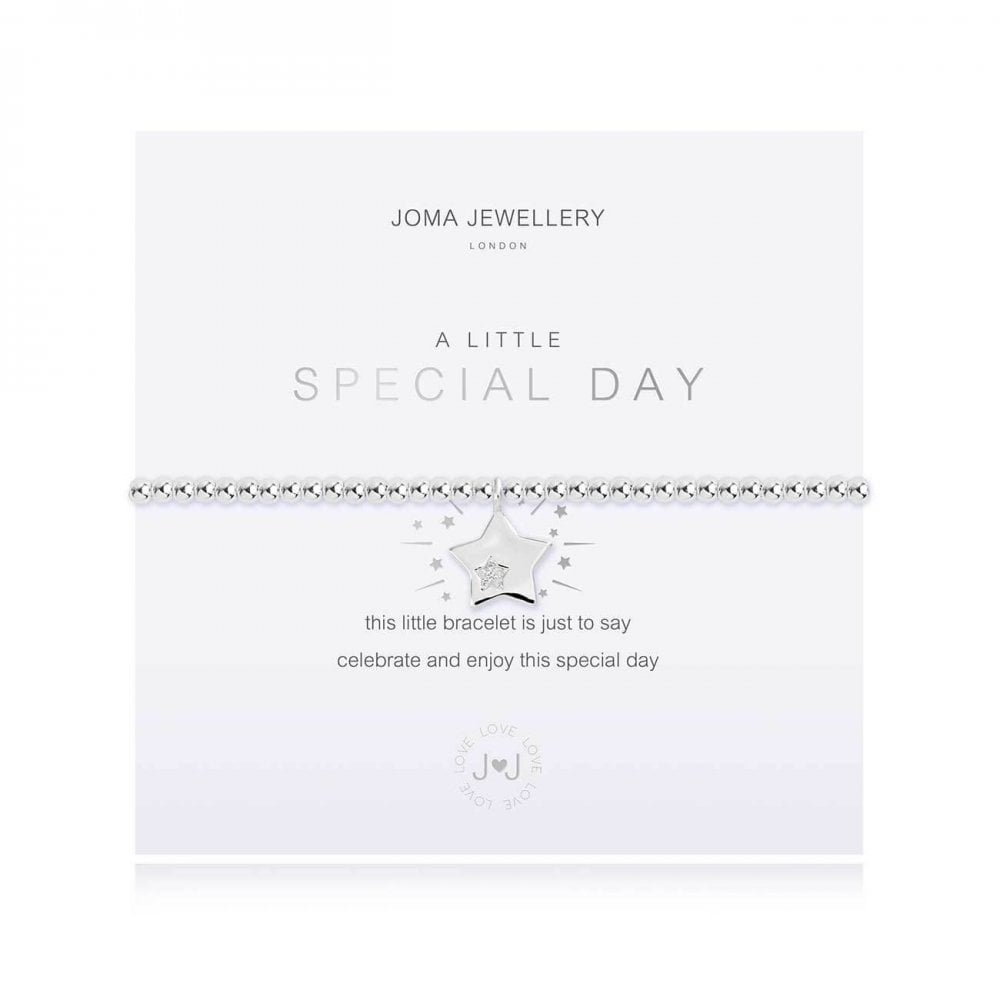 A Little | Special Day | Silver | Bracelet | 17.5cm Stretch