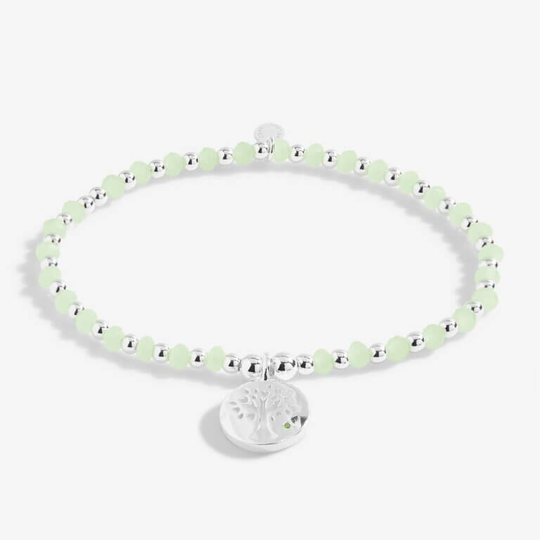 Colour Pop A Little Family Bracelet