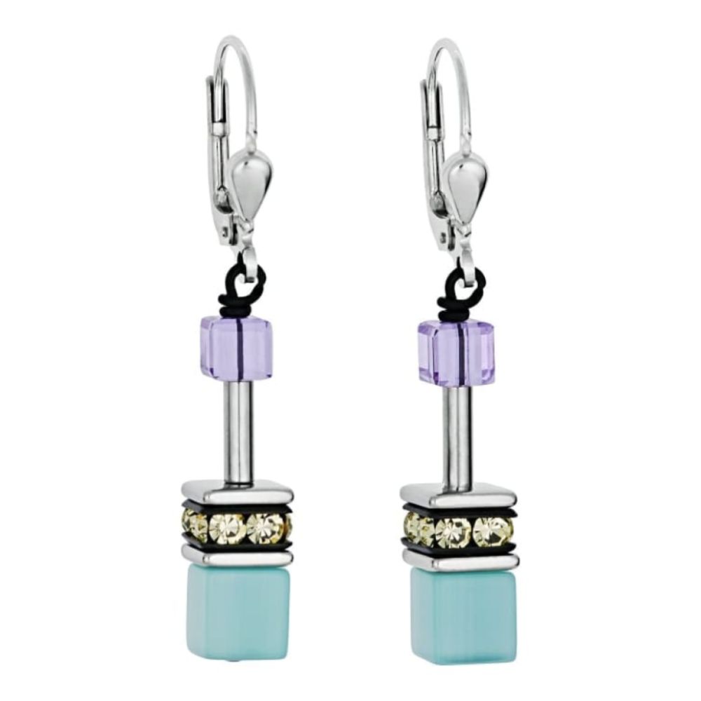 Ladies' Multicolour Earrings