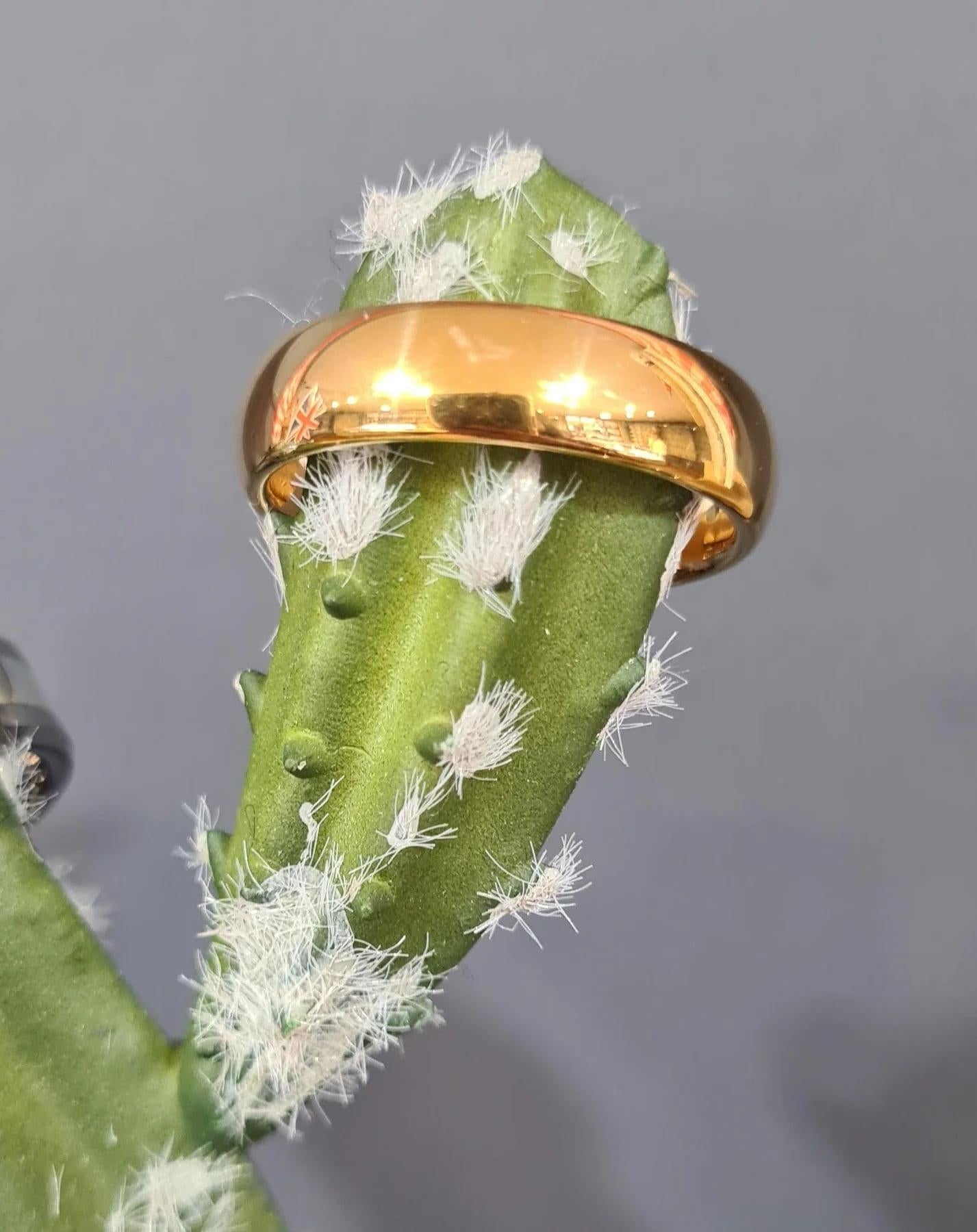 Yellow Gold Plated Ring 6mm