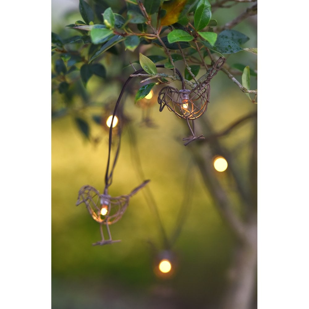 Robin Chain -Battery LED Light Chain