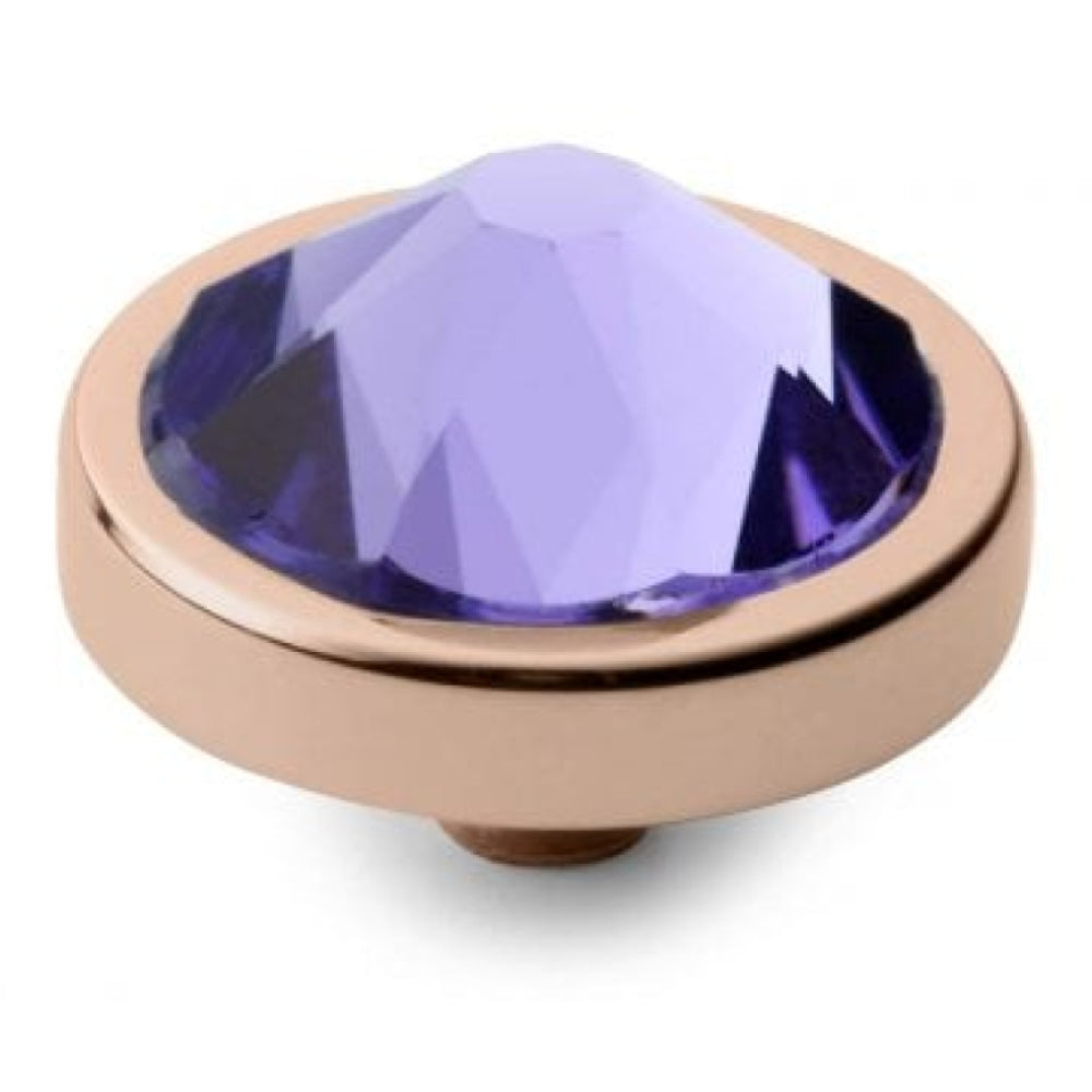 Famosa CANINO (RG/P) Tanzanite