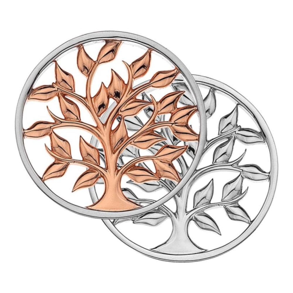 33mm Sterling Silver & Rose Gold Plated Balance & Harmony Reversible Coin