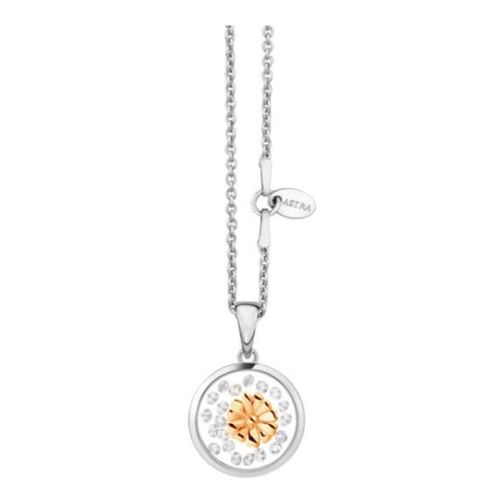 Daisy 16mm (ROCZ)