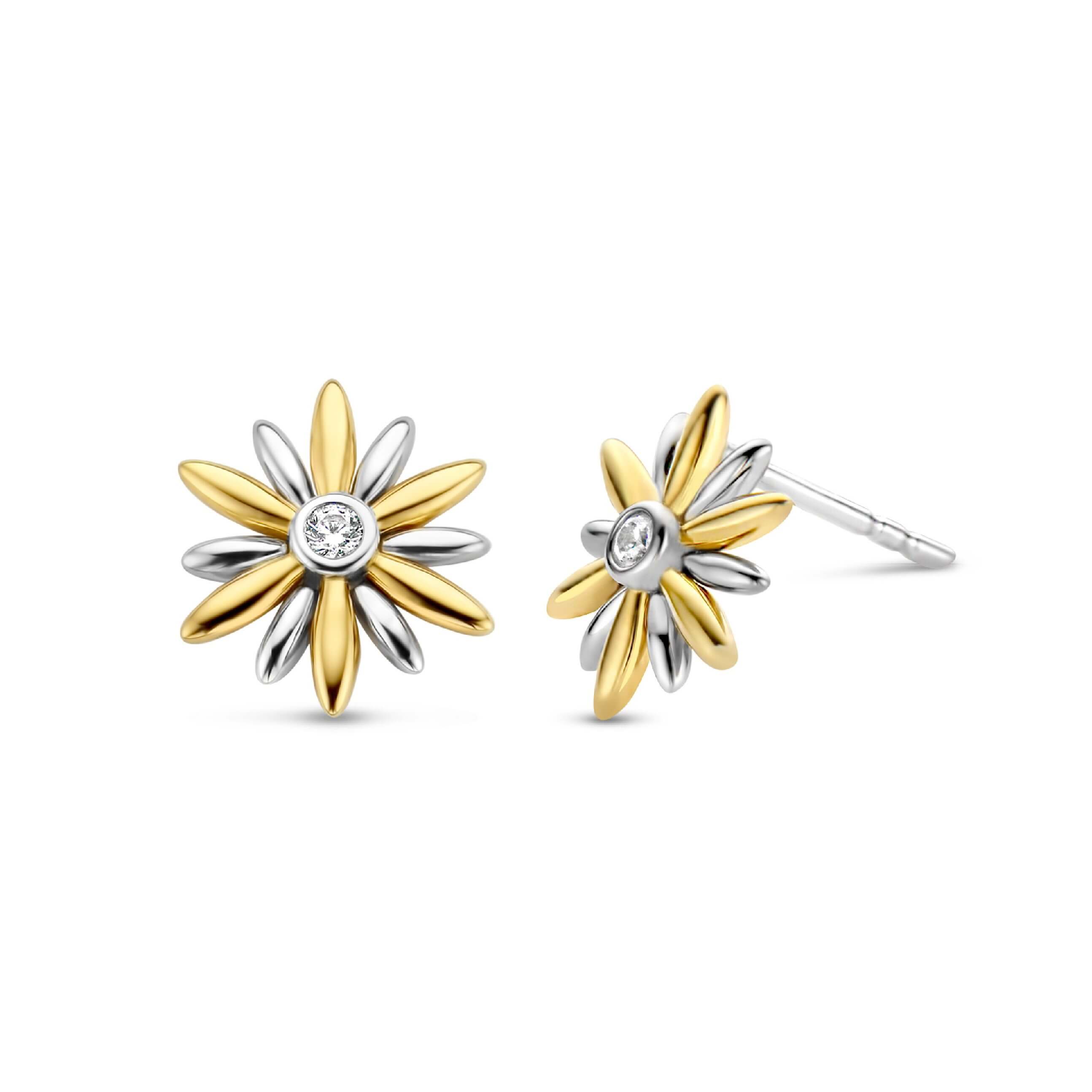 Two Tone Large Stars Studs