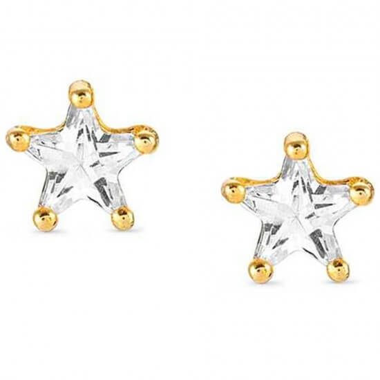 Sentimental Gold Tone Star Stud Earrings