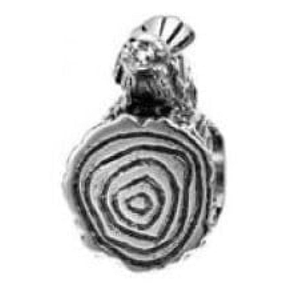 Birds' Talk Sterling Silver Lovelink Charm