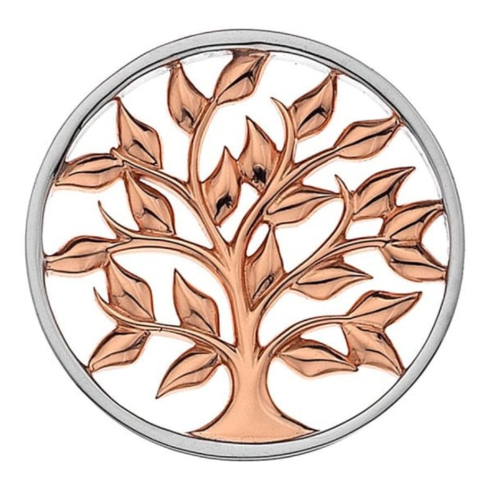 33mm Sterling Silver & Rose Gold Plated Balance & Harmony Reversible Coin