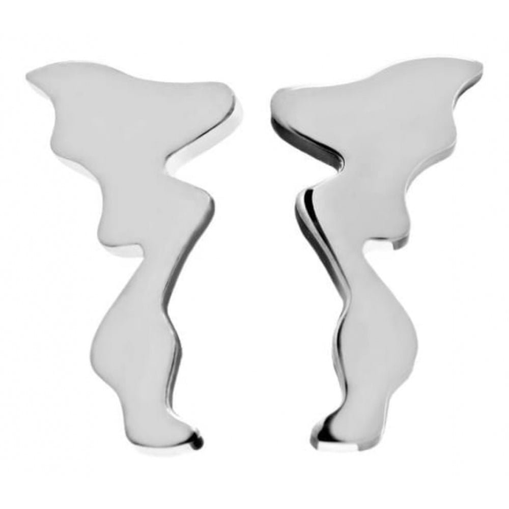 Northern Light Earrings Steel
