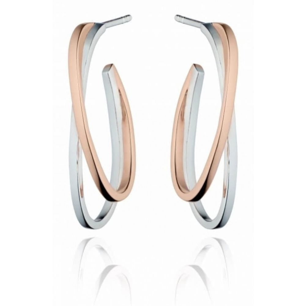 Rose Gold Detail Modernist Double Hoop Earrings