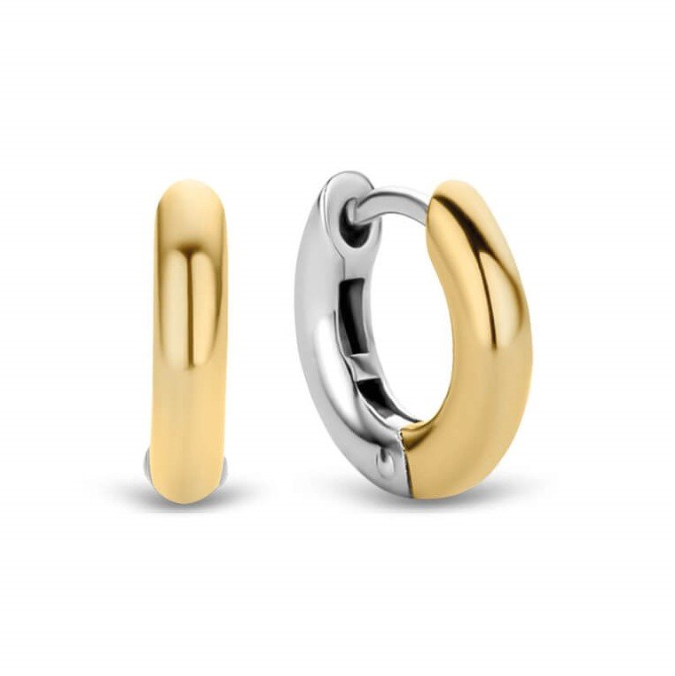 Two Tone Hoop Earrings