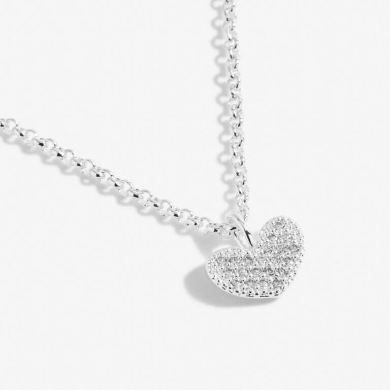 A Little | Special Daughter | Silver | Necklace | 46cm + 5cm Extender