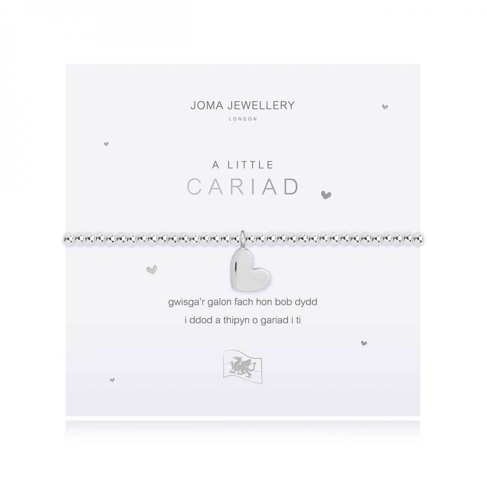 A Little | Love (Welsh) | Silver | Bracelet | 17.5cm Stretch