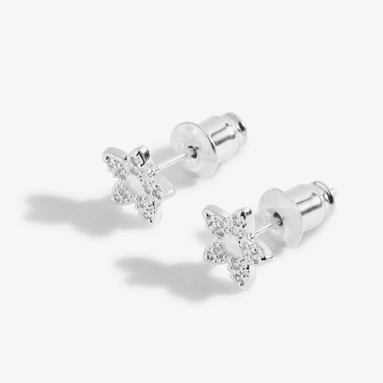 Mother's Day Boxed A Little Earrings 'If Mum's Were Flowers I'd Pick You'