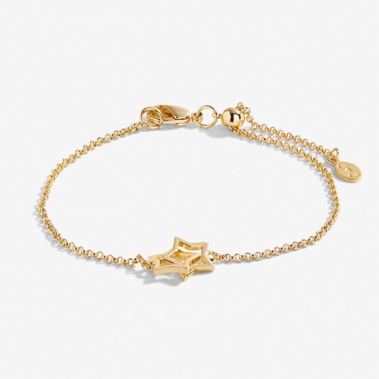Infinity Links | Star Bracelet | Gold | Bracelet | 19cm Adjustable