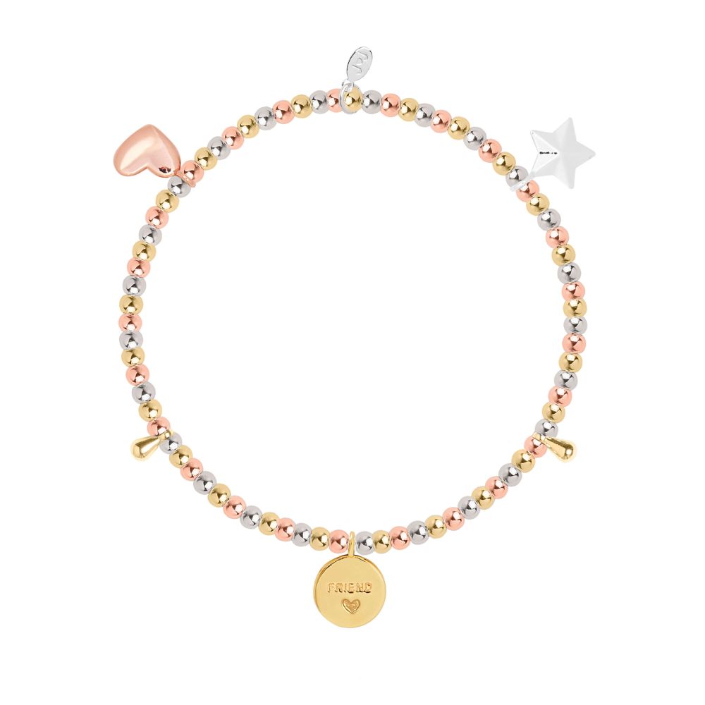 Lifes A Charm  | Beautiful Friend | Silver, Rose Gold, Gold | Charm Bracelet | 17.5cm Stretch