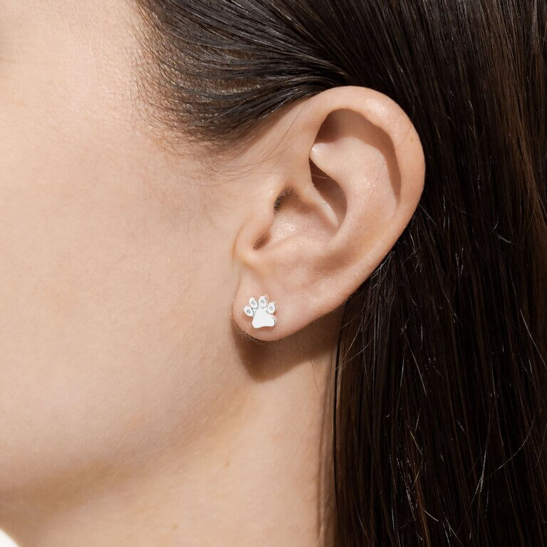 Beautifully Boxed A Little Earrings | Love Has Four Paws | Silver | Earring Box