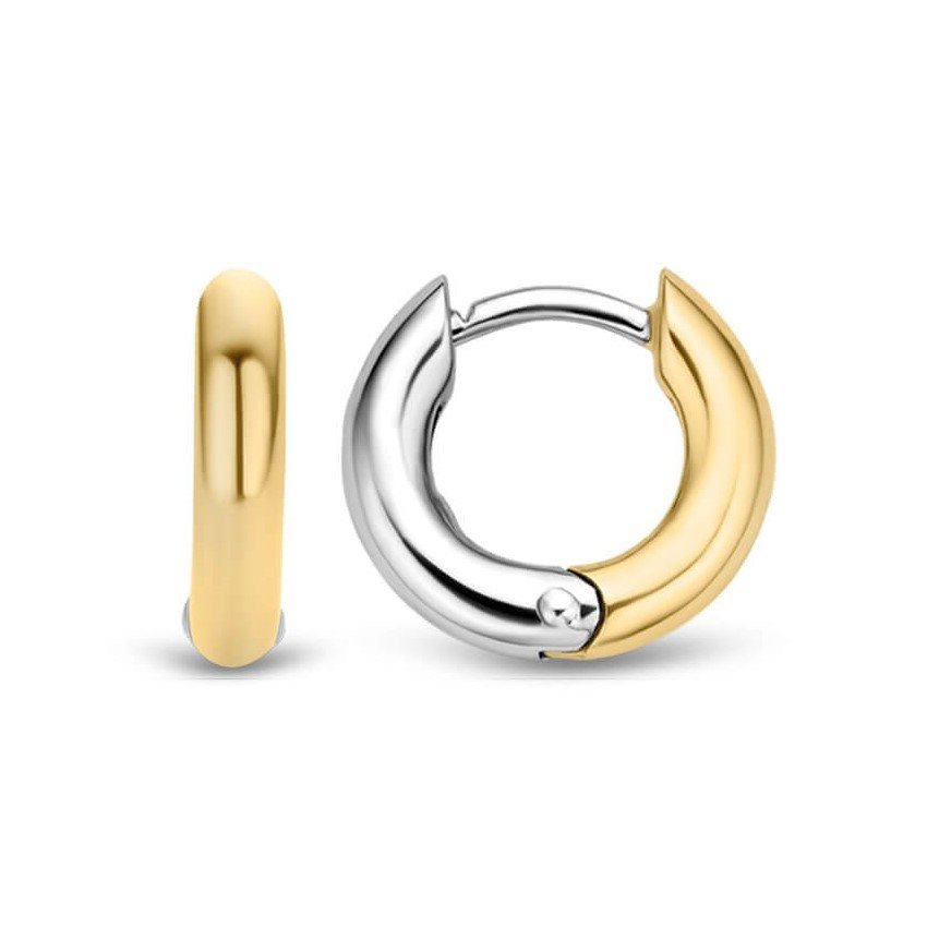 Two Tone Hoop Earrings