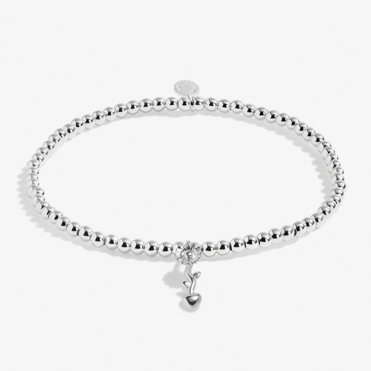 A Little 'Teachers Plant Seeds That Grow Forever' Silver Plated Bracelet