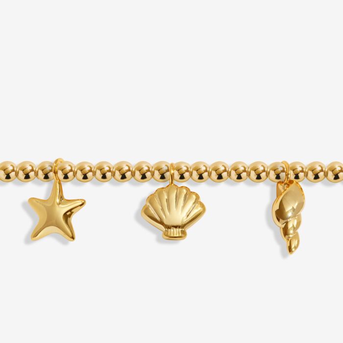 Shell Charms Gold Plated Anklet