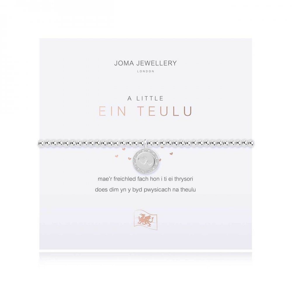 A Little | Our Family (Welsh) | Silver | Bracelet | 17.5cm Stretch