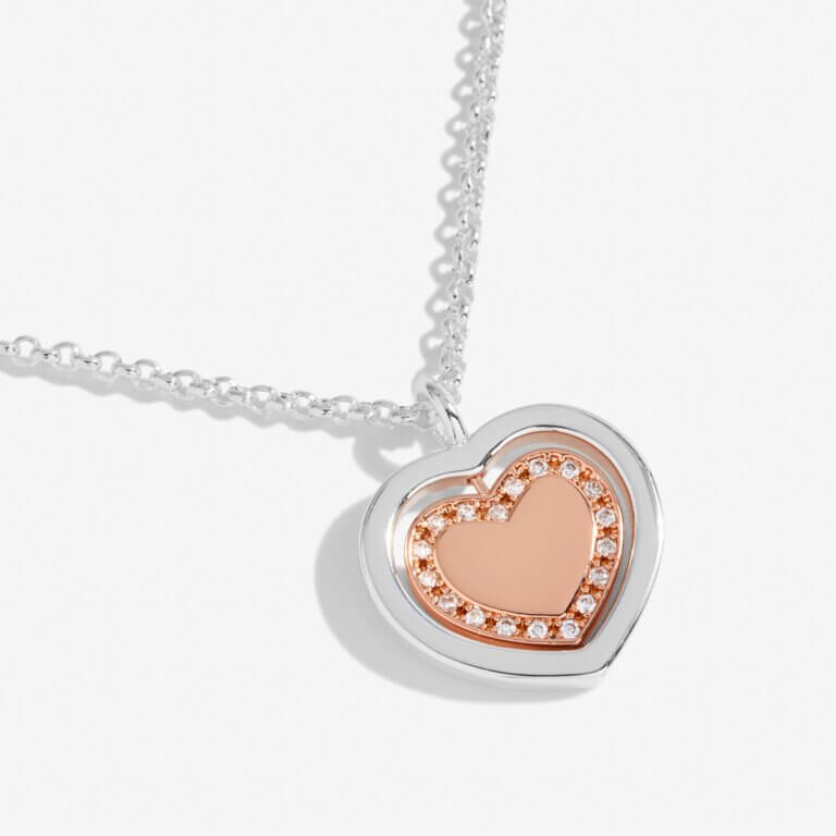 Sentiment Spinners | Love | Silver And Rose Gold | Necklace | 46cm + 6cm Extender