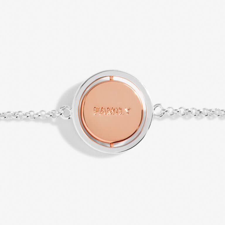 Sentiment Spinners | Family | Silver And Rose Gold | Bracelet | 19cm Adjustable