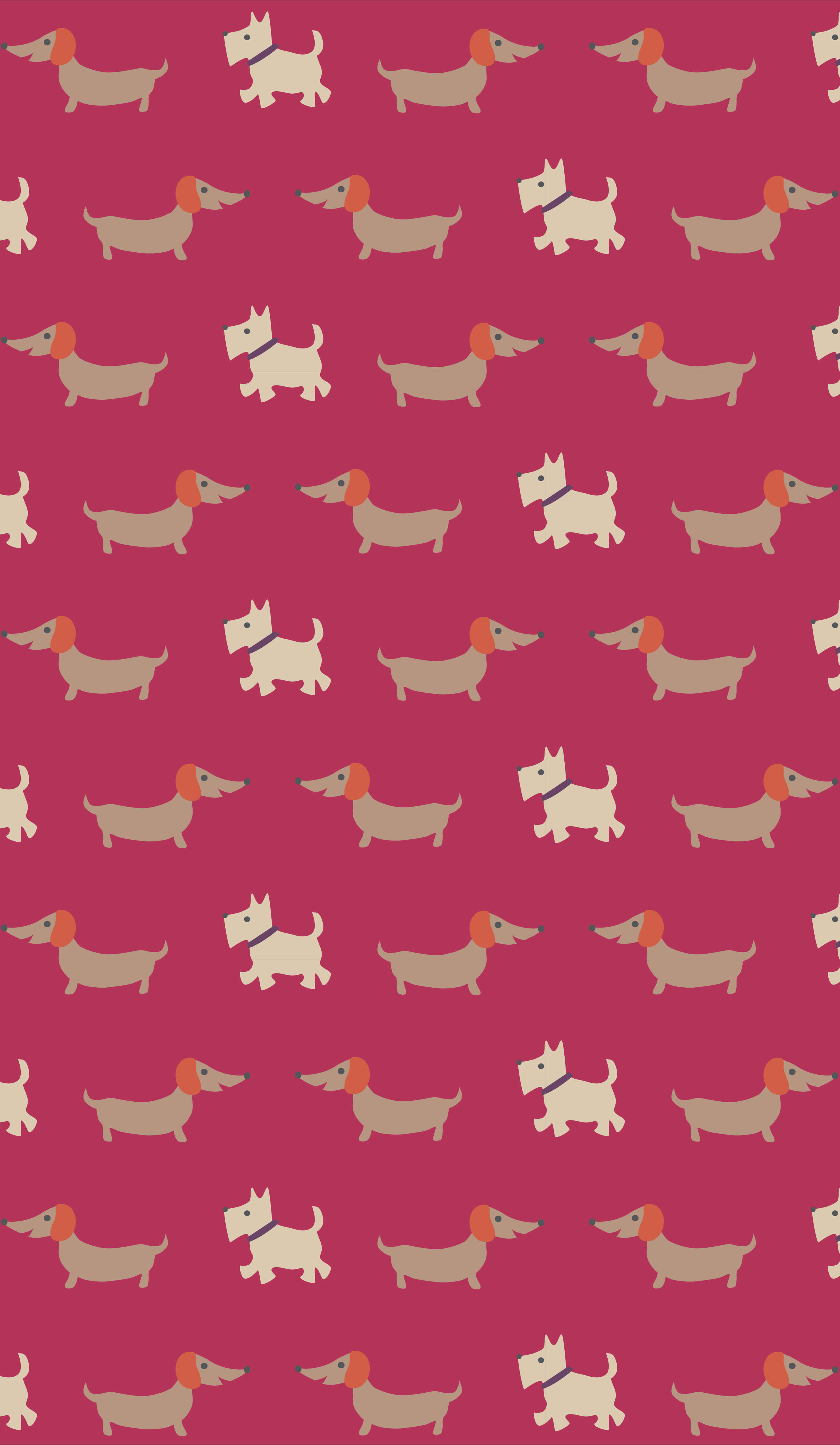 Marvellous Multiway Band - Mixed Dogs