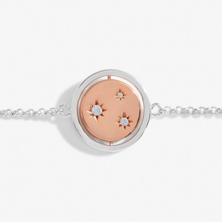 Sentiment Spinners | Family | Silver And Rose Gold | Bracelet | 19cm Adjustable