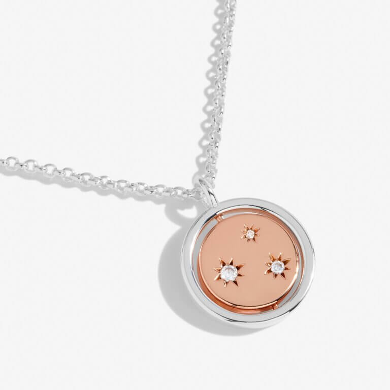 Sentiment Spinners | Family | Silver And Rose Gold | Necklace | 46cm + 6cm Extender