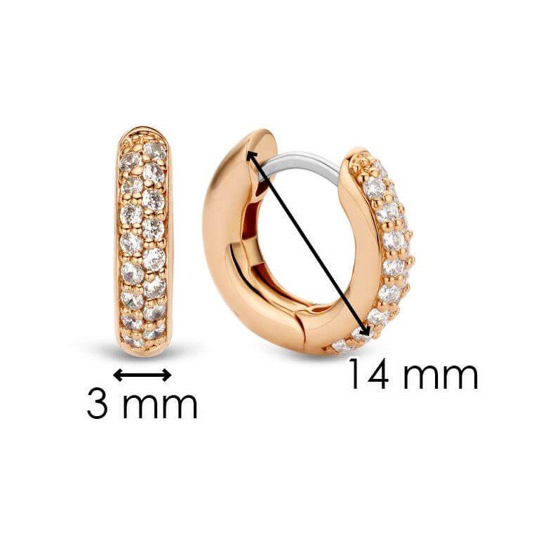 Rose Gold Plated CZ Hoop Earrings