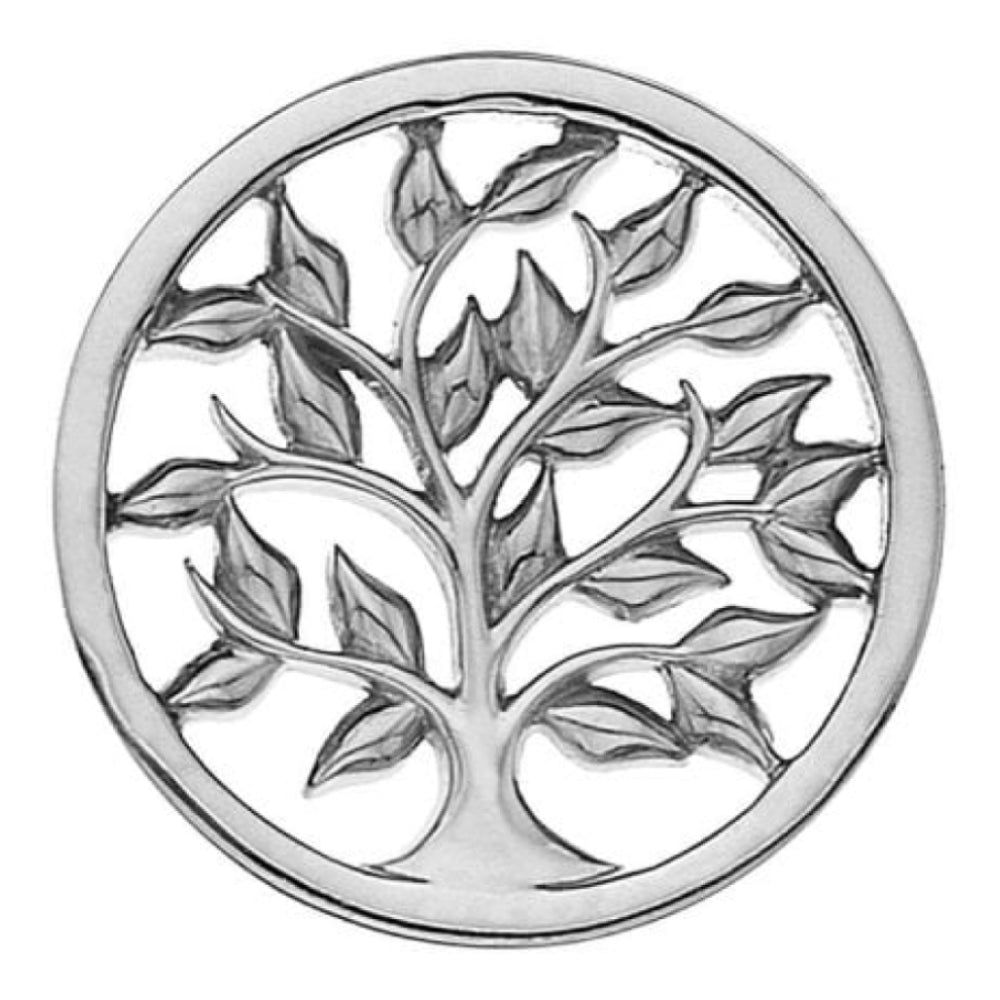 25mm Sterling Silver with Sparkle Balance & Harmony Reversible Coin