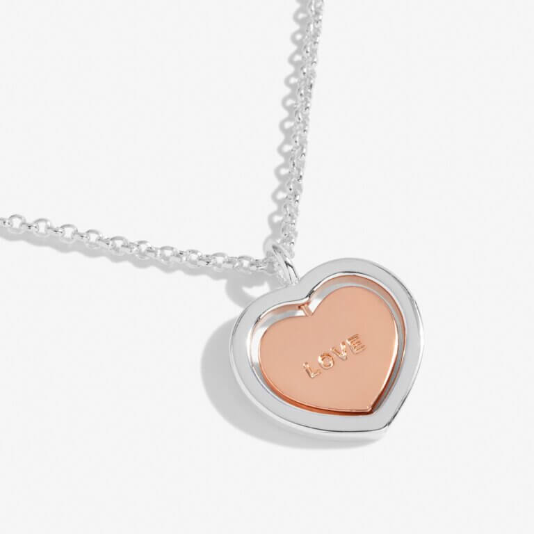 Sentiment Spinners | Love | Silver And Rose Gold | Necklace | 46cm + 6cm Extender