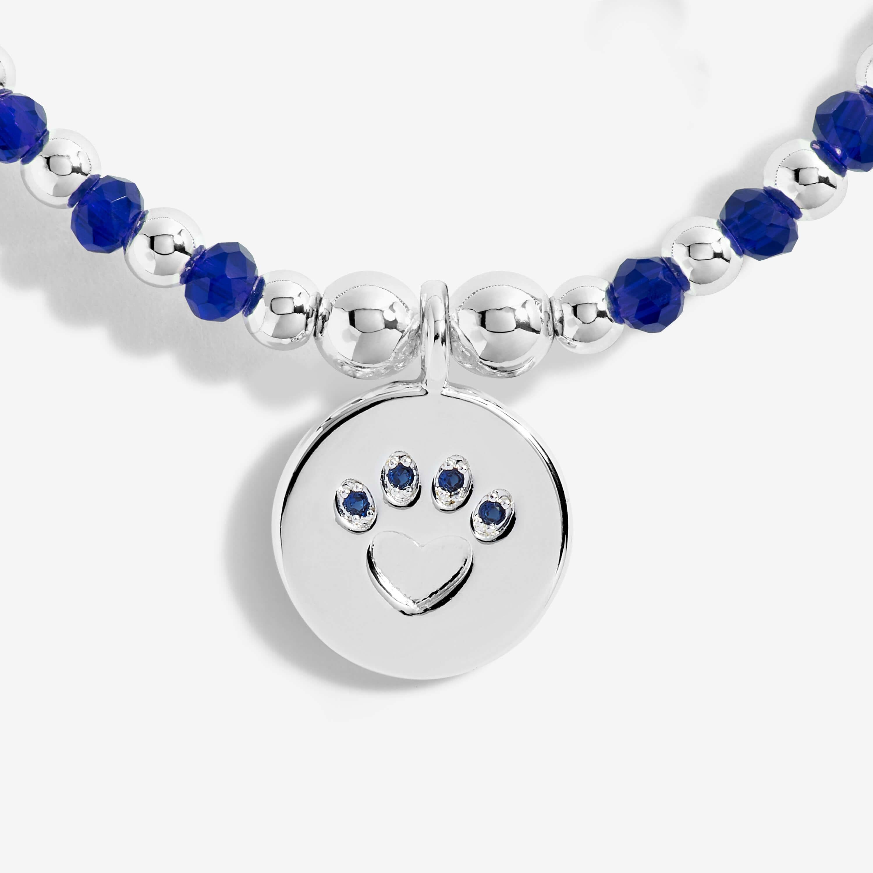 Colour Pop A Little  | Perfect Paw Print | Silver | Bracelet | 17.5cm Stretch