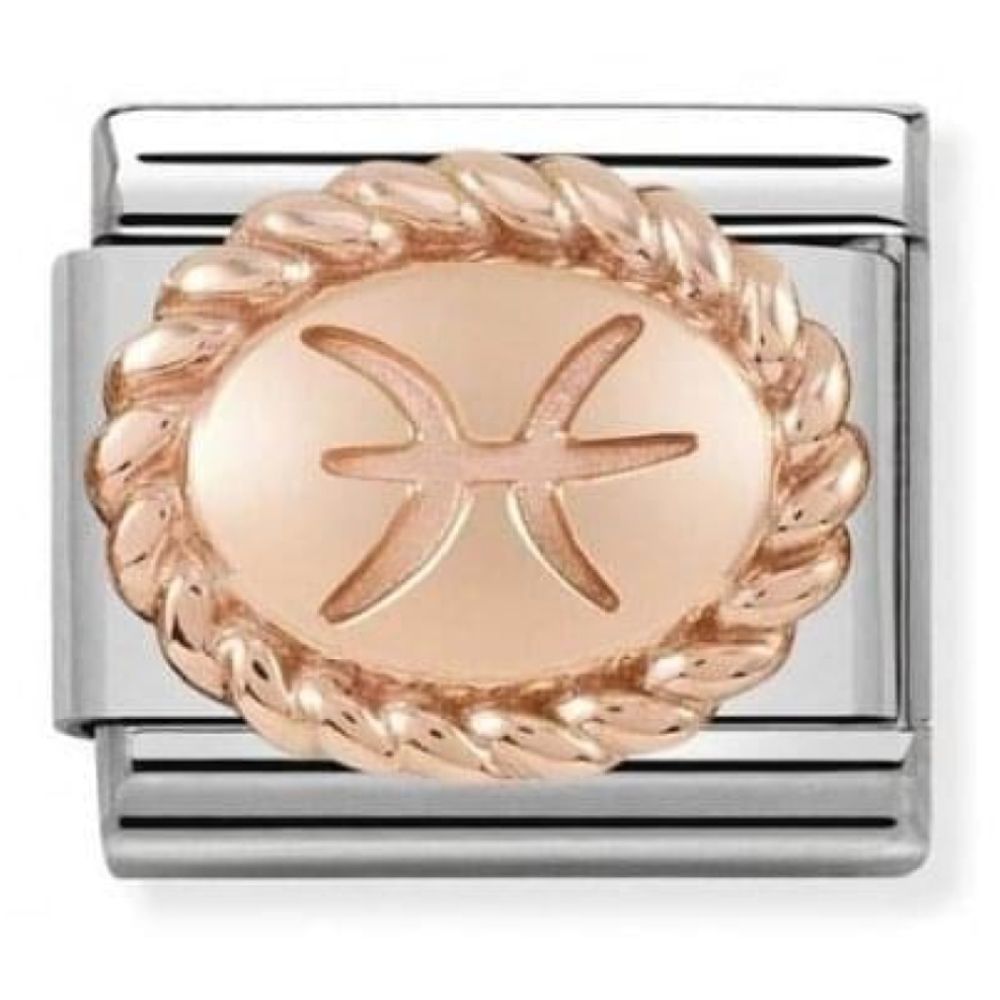 Classic Link In Stainless Steel With Rose Gold Zodiac Pisces