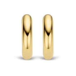 Gold Plated Hoop Earrings