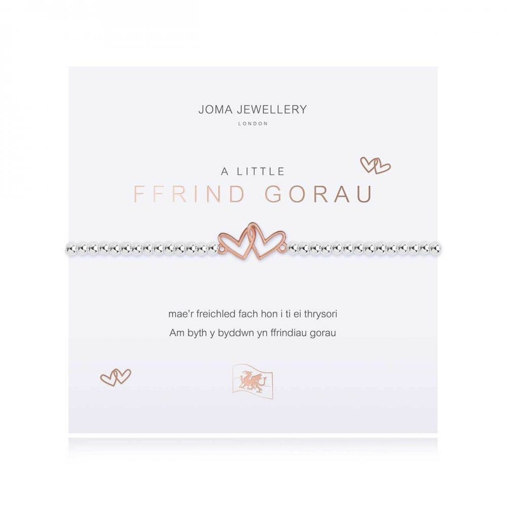 A Little | Best Friend (Welsh) | Silver | Bracelet | 17.5cm Stretch