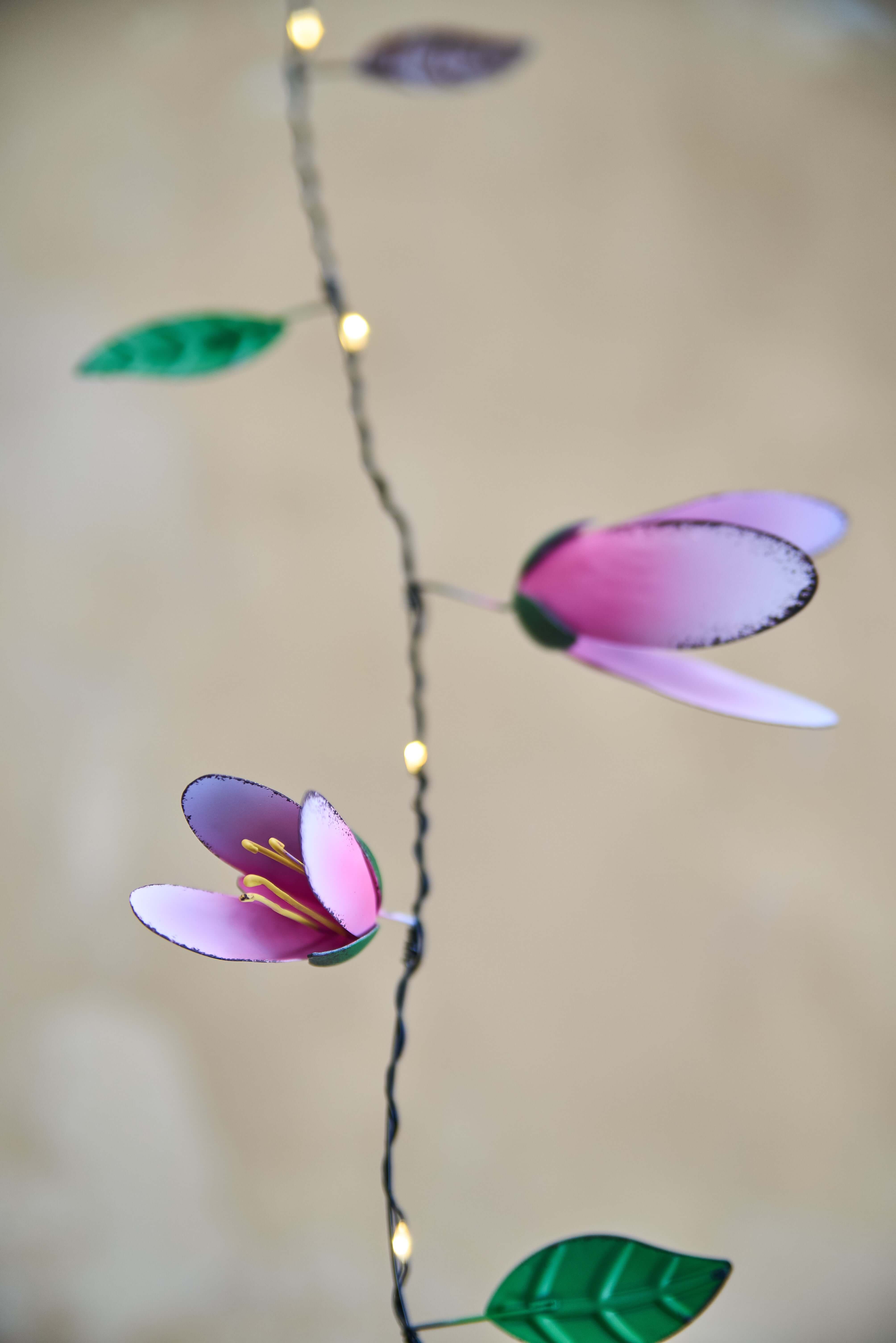 Magnolia String Light
