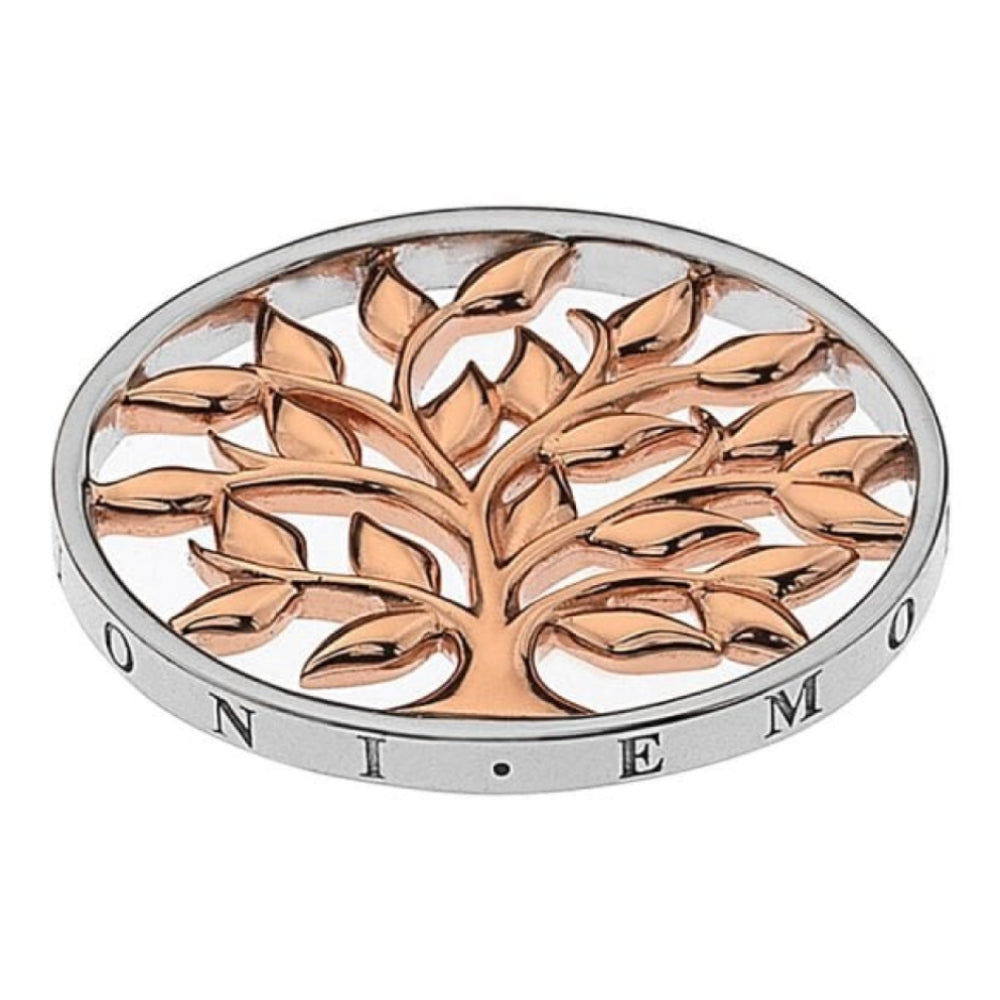 33mm Sterling Silver & Rose Gold Plated Balance & Harmony Reversible Coin