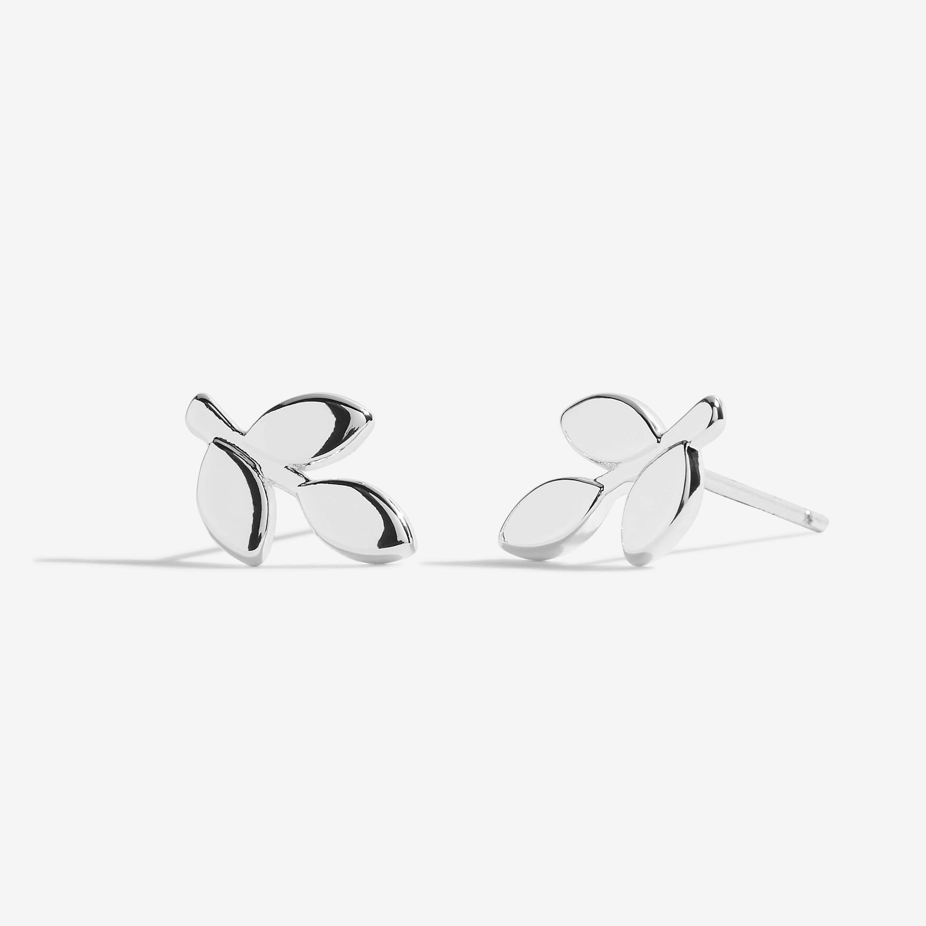 Treasure The Little Things | Forever Family | Silver | Earring Box