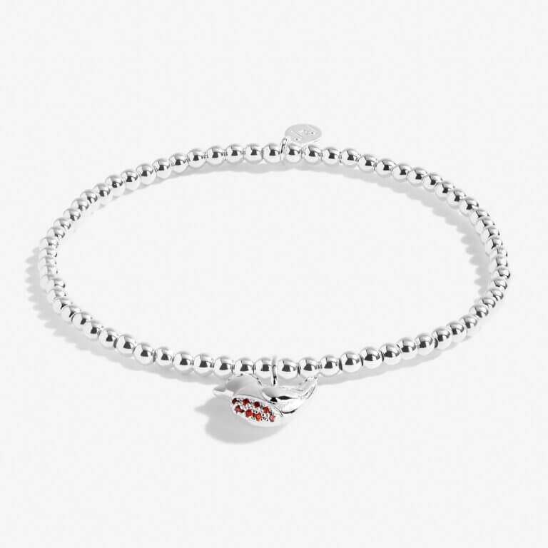 A Little | Robins Appear When Loved Ones Are Near | Silver | Bracelet | 17.5cm Stretch