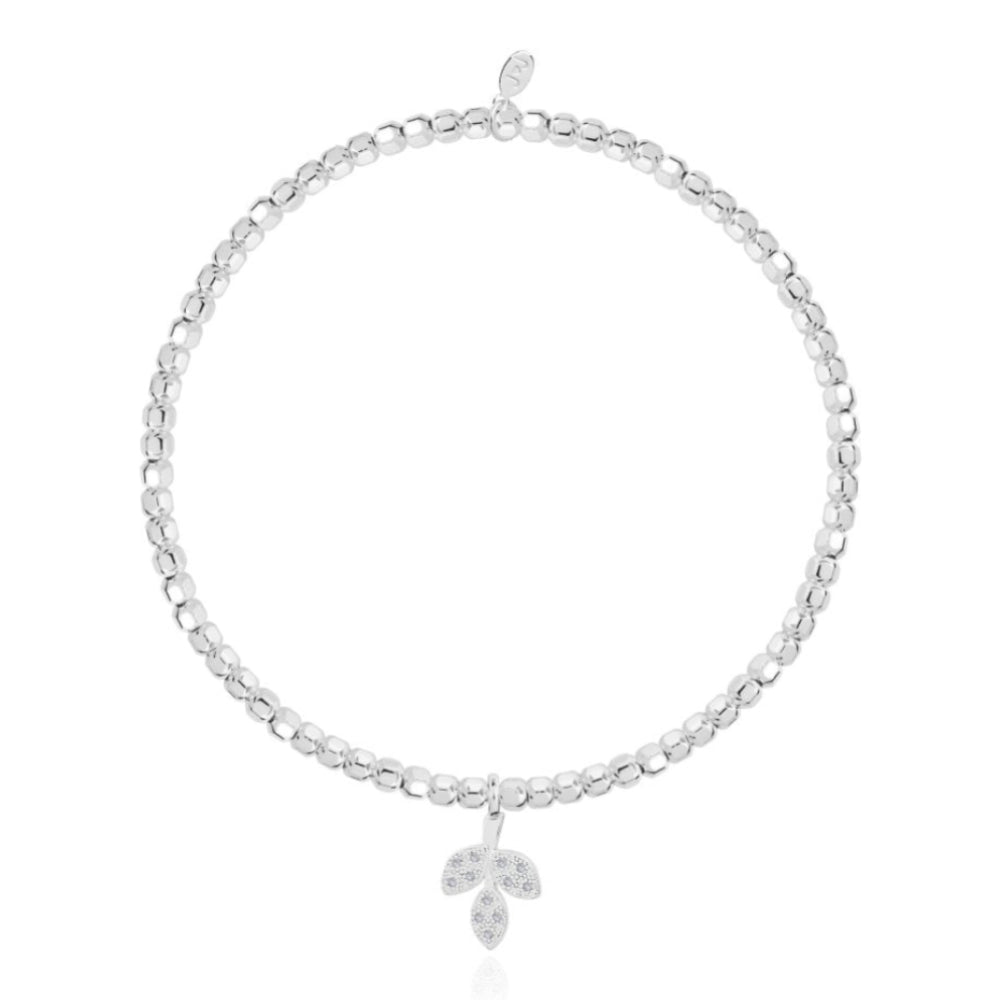 Boxed Bridal Collection | Mother Of The Groom | Bracelet | 17.5cm