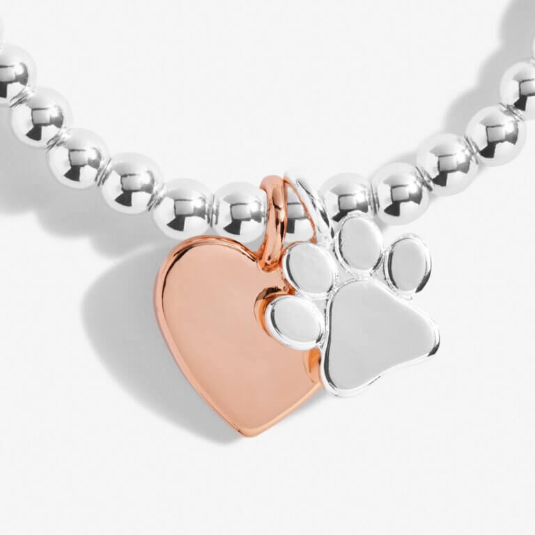 A Little | Puppy Love | Silver | Bracelet | 17.5cm Stretch